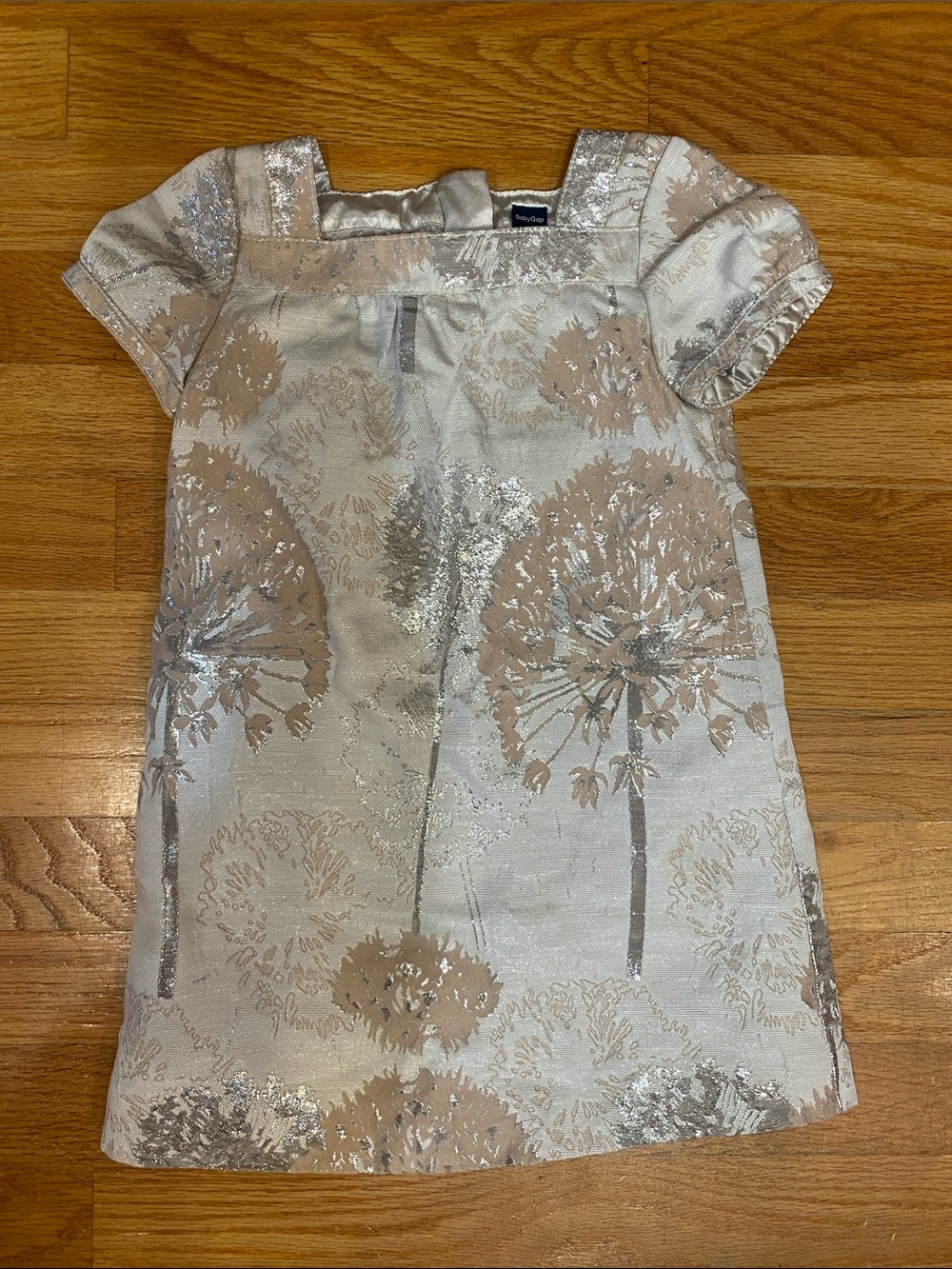 Baby GAP Silver and Beige Floral Brocade Dress
